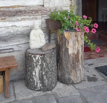 Zen , sedící Budha